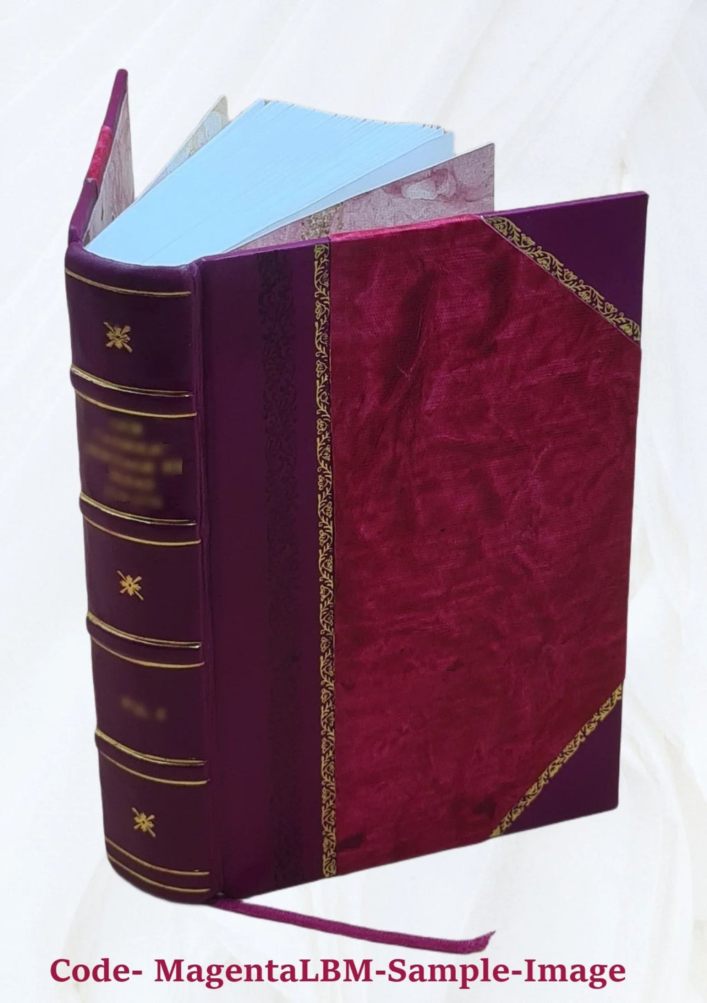 Le diocèse de Genève (partie de Sizeavoie) pendant la Révolution française Volume 1 1894 [Leather Bound]