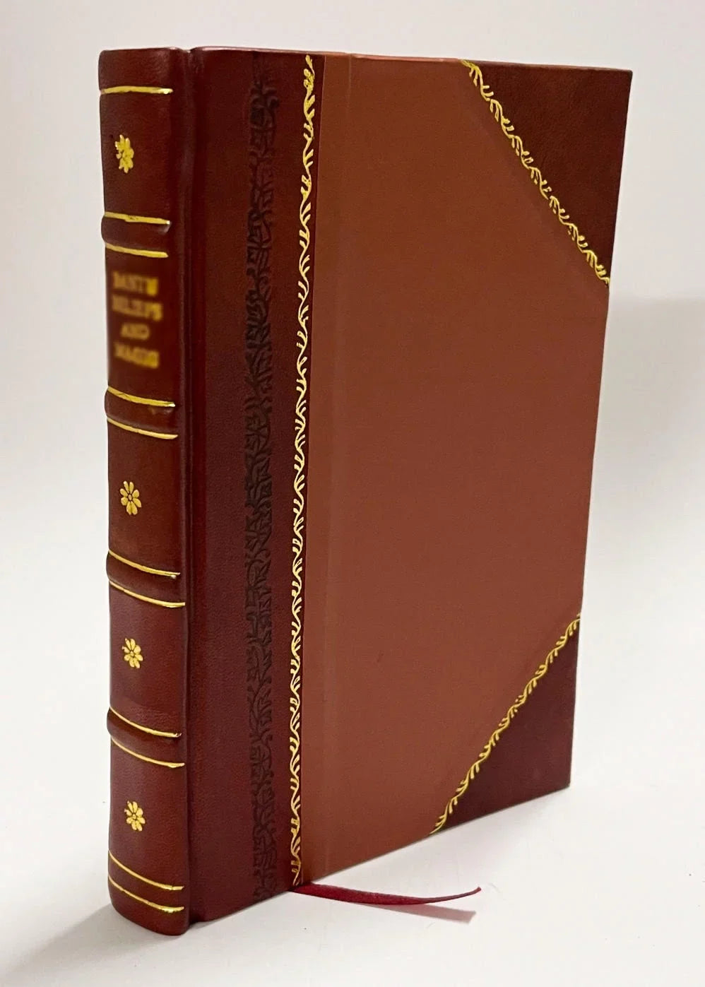 La Escatologia Musulmana En La Divina Comedia / Asin Palacios, Miguel (1919) (1919) [Leather Bound]