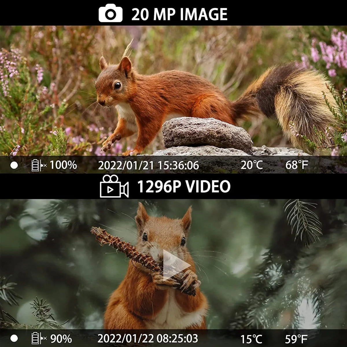 CAMPARK WiFi Trail Camera 20MP 1296P Hunting Game Camera Bluetooth 120° Motion Activated IP66 Waterproof with 850nm Night Vision Trail Cam for Wildlife Monitoring