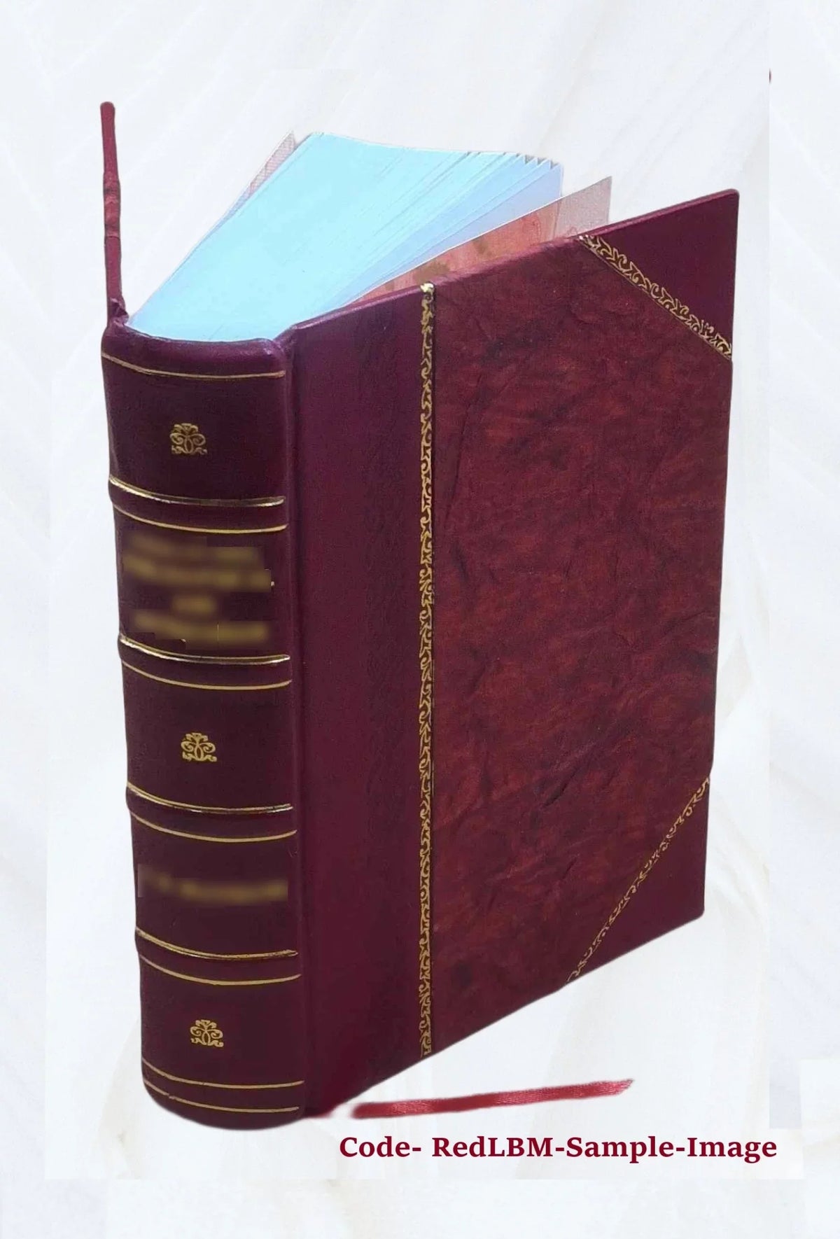 Le Prudent voyageur, contenant la description politique de tous les etats du monde, de l'Asie, de l'Afrique, & de l'Amerique, & particulierement de l'Europe. Ou sont methodiquement, & exactement depei