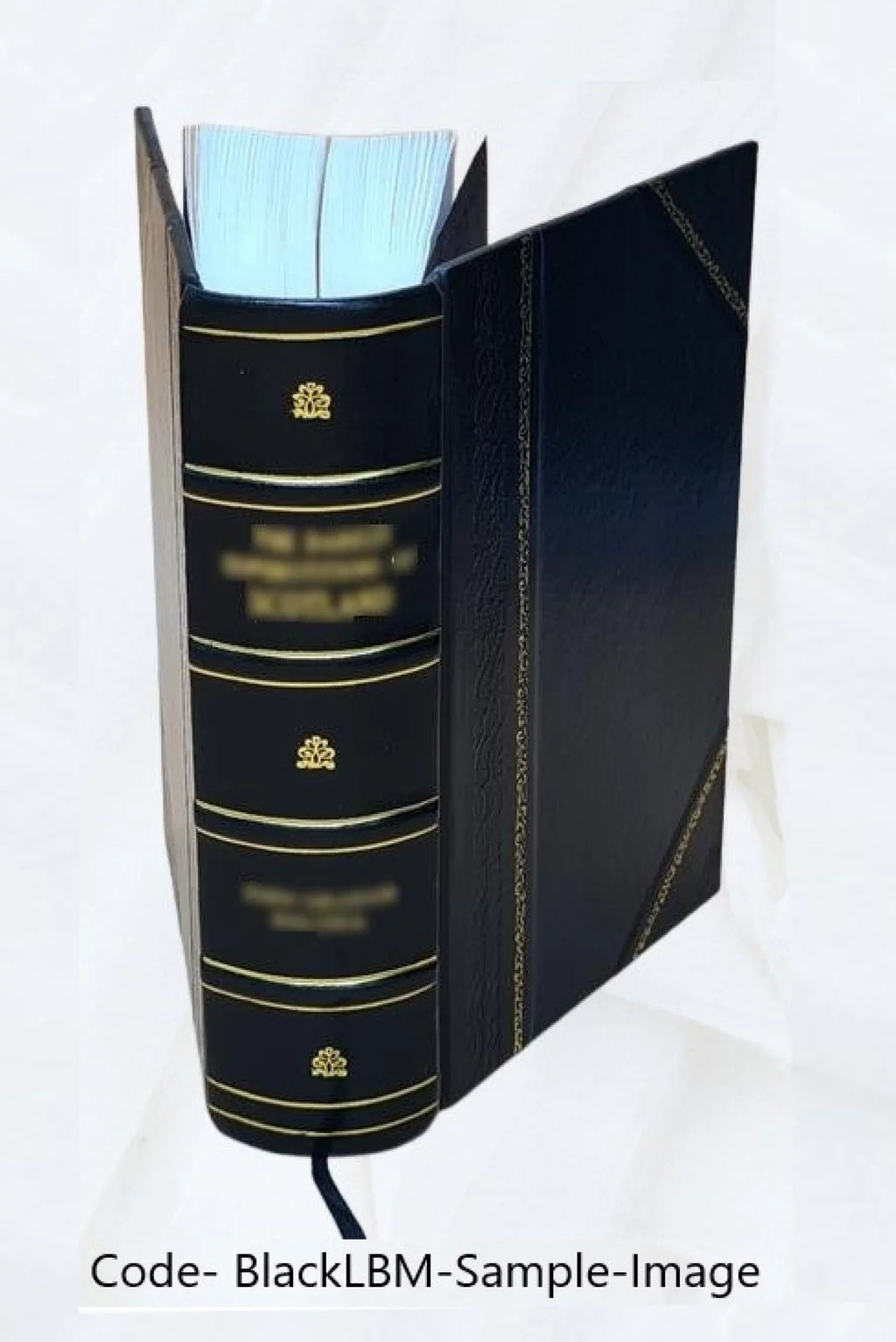 Die Realien in der Jliade und Odyssee, von J.B. Friedreich. 1856 [Leather Bound]